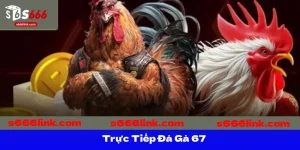 truc-tiep-da-ga-67